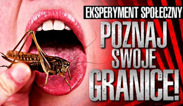 Poznaj swoje granice – eksperyment społeczny.