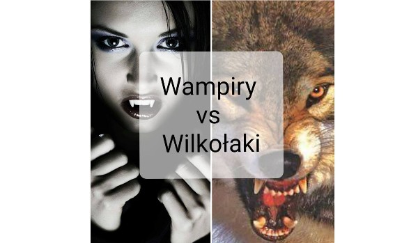 Wampiry vs Wilkołaki #18
