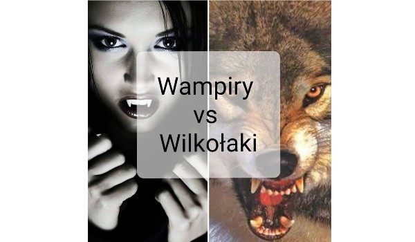 Wampiry vs Wilkołaki #15