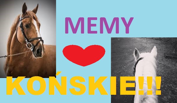 KOŃSKIE MEMY!!! #3