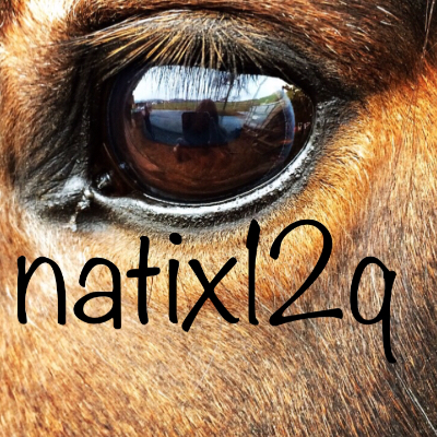 natix12q