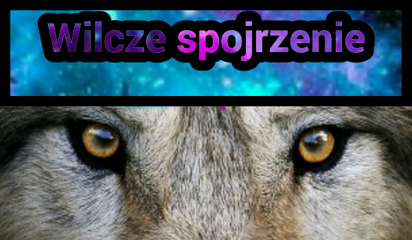 Wilcze spojrzenie #2
