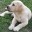 zosia_minecraft