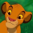 simba_zirki