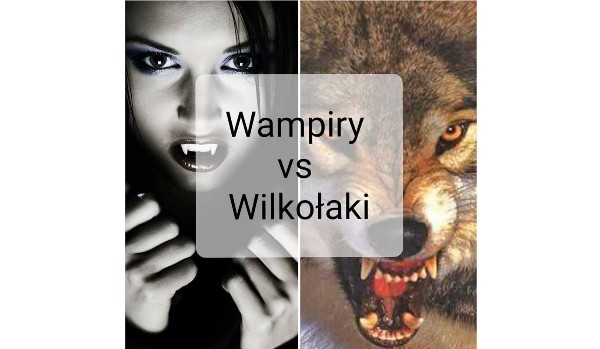 Wampiry vs Wilkołaki #17