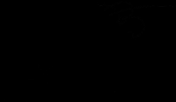 Marzenia się spełniają #2