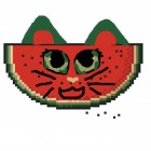 WaterMelon_x_MelonWater