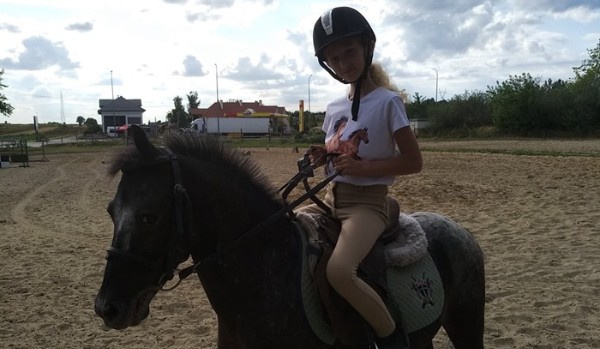 Quiz o Stajni Drwal!