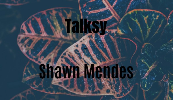 Talksy – Shawn Mendes