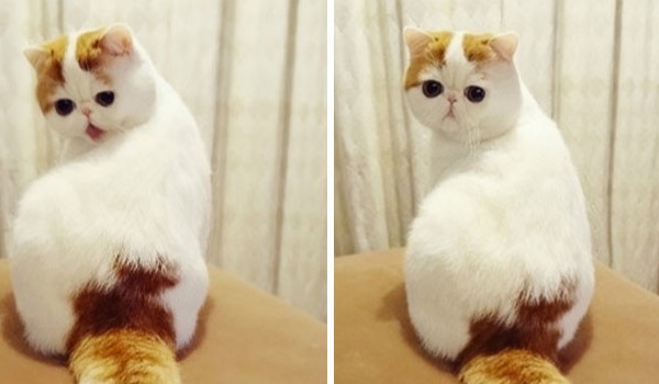 Moja historia z Fnafa cz.2