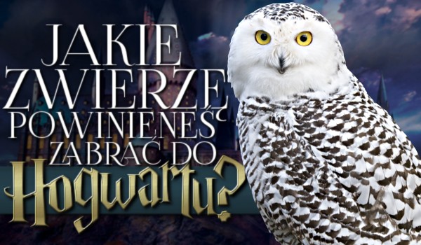 Jakie zwierzę powinieneś zabrać do Hogwartu?