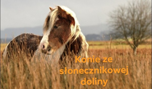 Konie ze słonecznikowej doliny cz.2