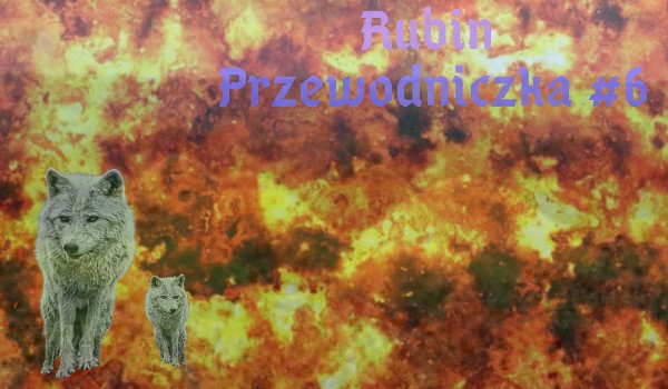 Rubin Przewodniczka #6