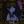 Black_flower.y