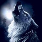 _TeenWolf_