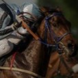 HorseMyLife
