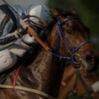 HorseMyLife