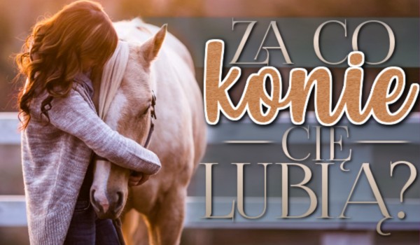Za co konie Cię lubią?