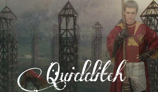 Quidditch #17