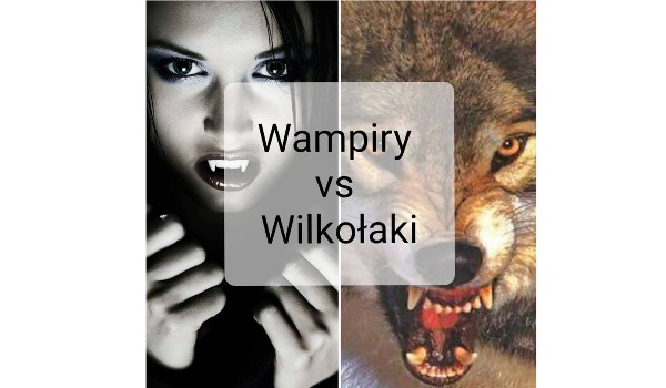 Wampiry vs Wilkołaki #19