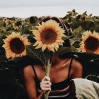 Vintage_Sunflower