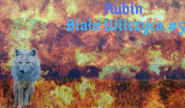 Rubin Biała Wilczyca #5