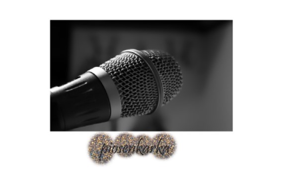 Piosenkarka -OneShot-