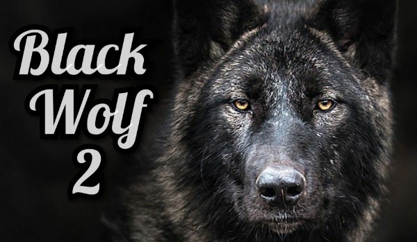 Black Wolf 2 #1