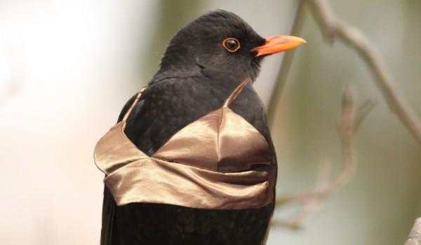 Profileeeeeeeeee #nw chyba 9