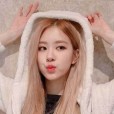 K-popnomstop