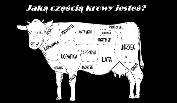 Jaką częścią krowy jesteś?