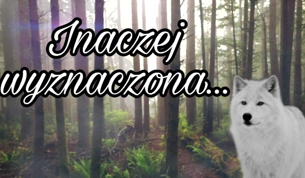 Inaczej wyznaczona… – #4