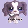 Kamila_msp