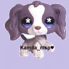 Kamila_msp