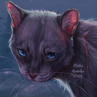 NightCat