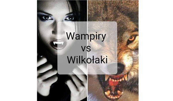 Wampiry vs Wilkołaki #20