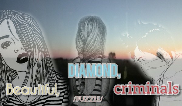 Beautiful, diamond, criminals  /puzzle/ ~one shot