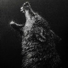 -Black-she-wolf-