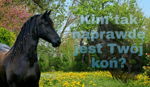Kim tak naprawdę jest Twój koń?