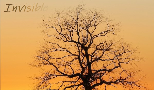 Invisible #3