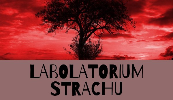 Od biednej do bogatej – Parodia