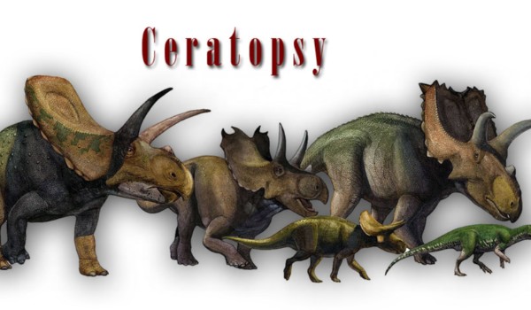 Odgadniesz dinozaury z rodziny ceratopsów?