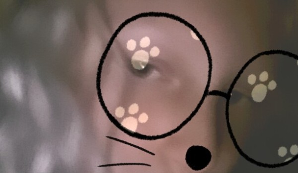 Twoja historia z harrym potterem 2