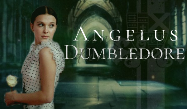 Angelus Dumbledore – rozdział 2