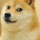 Pruni