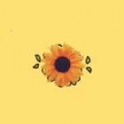 Sunflower_Girl__
