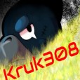 kruk308