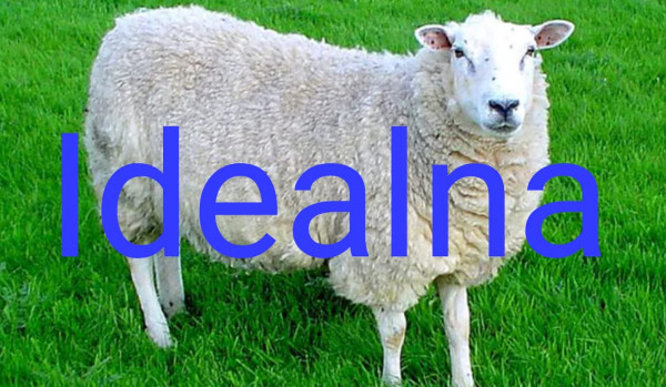 Idealna (by kret sonderson-jackson)