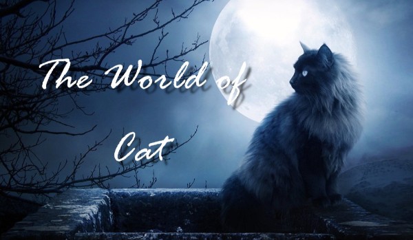 The World Of Cats- Prolog