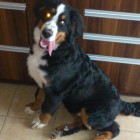 hermionagranger.xena